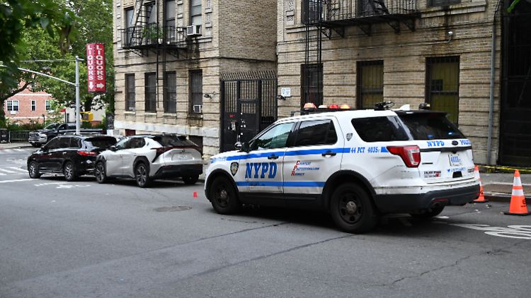 Die Spuren führten die Ermittler schnell in die Bronx.