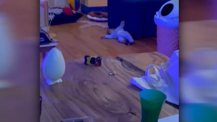 A$AP Rocky und Rihanna Chaos Zuhause.jpg