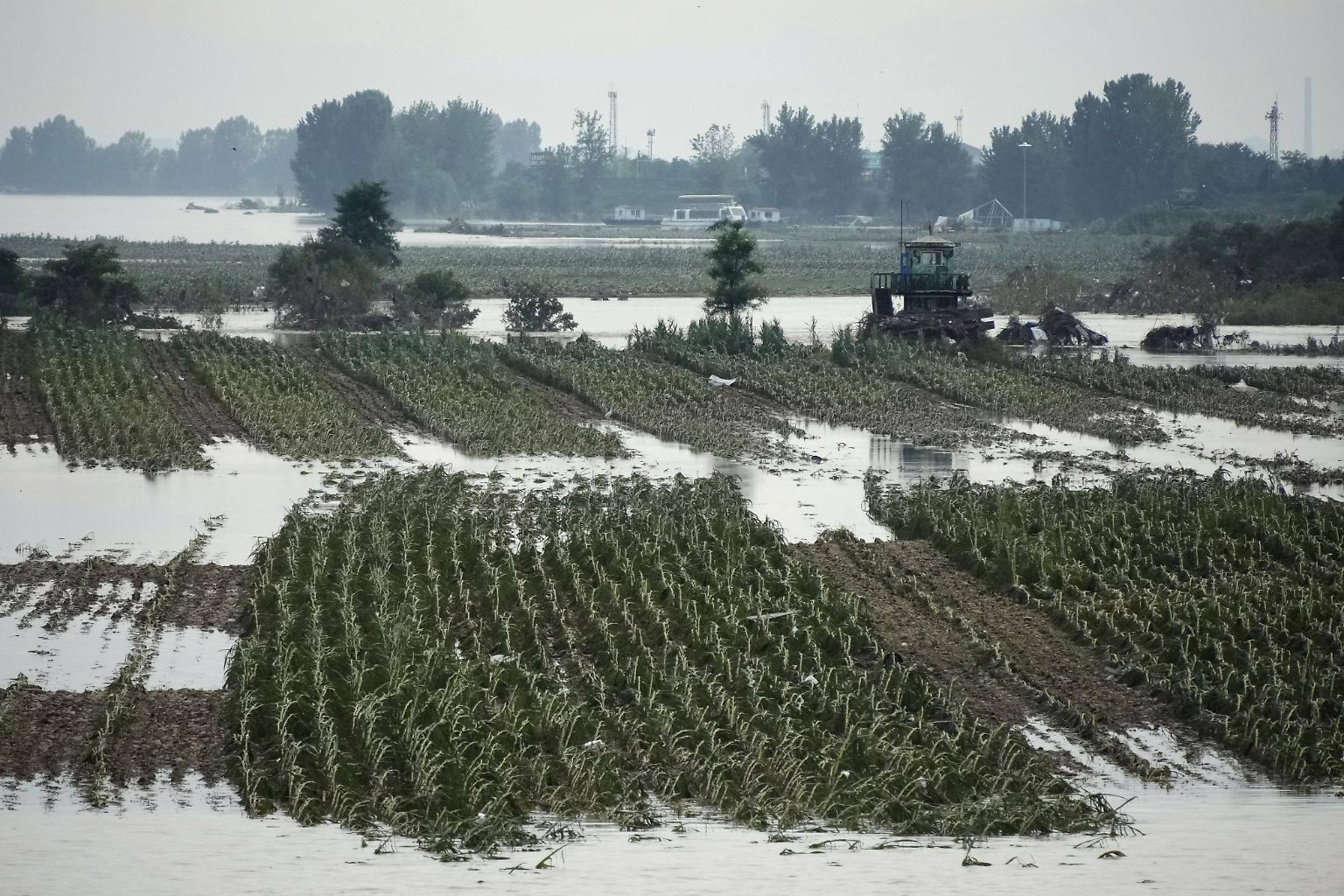 Ende Juli kommt es in Nordkorea im Grenzgebiet zu China zu schweren Regenfällen und Überschwemmungen. 