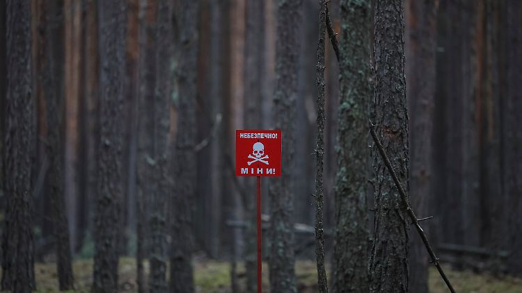 Die ukrainisch-belarussische Grenze ist streng bewacht.