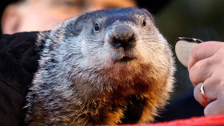 Gut gemacht, Phil - bis nächstes Jahr.