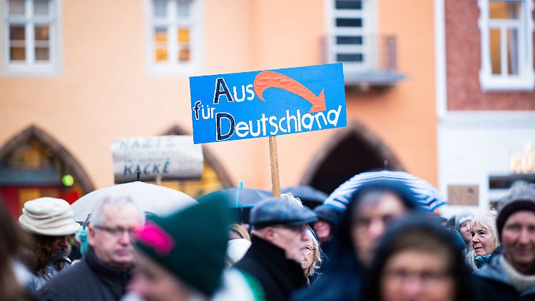 In den vergangenen Monaten haben zahlreiche Menschen in Deutschland für Vielfalt und Toleranz demonstriert - und gegen die AfD.