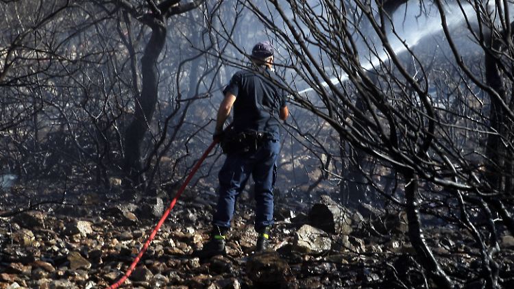 Die griechische Regierung kündigte Hilfe und Entschädigungen für die Betroffenen des Brandes an.