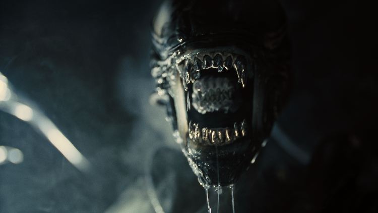 Willkommen zurück: "Alien" ist mit "Romulus" wieder da.