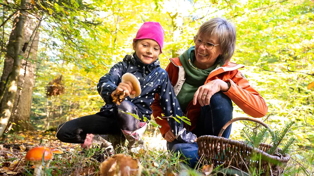 In-die-Pilze-gehen-das-gehoert-fuer-viele-zum-Herbst-einfach-dazu-Zum-Beispiel-weil-sie-das-aus-Kindertagen-kennen