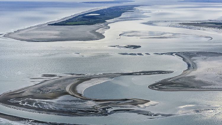 Als "eine große Bedrohung für unsere Umwelt" bezeichnete Lang die Pläne. 