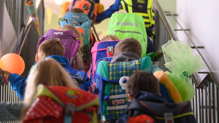 Hätte die AfD auf Länderebene das Sagen, könnte es in Schulen erhebliche Änderungen geben.