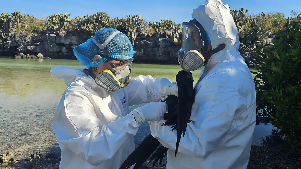 81606eb5d121cf781caa55838c4c365a