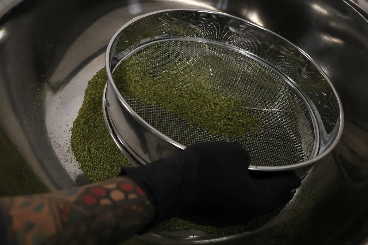 2022-04-18T235712Z-176454367-RC2GMT9EYOJH-RTRMADP-3-USA-MARIJUANA-FACTORY