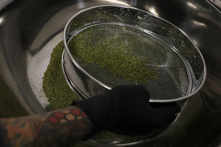 2022-04-18T235712Z-176454367-RC2GMT9EYOJH-RTRMADP-3-USA-MARIJUANA-FACTORY