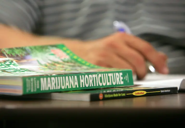 2009-07-27T120000Z-1643613318-GM1E57S0ESM01-RTRMADP-3-USA