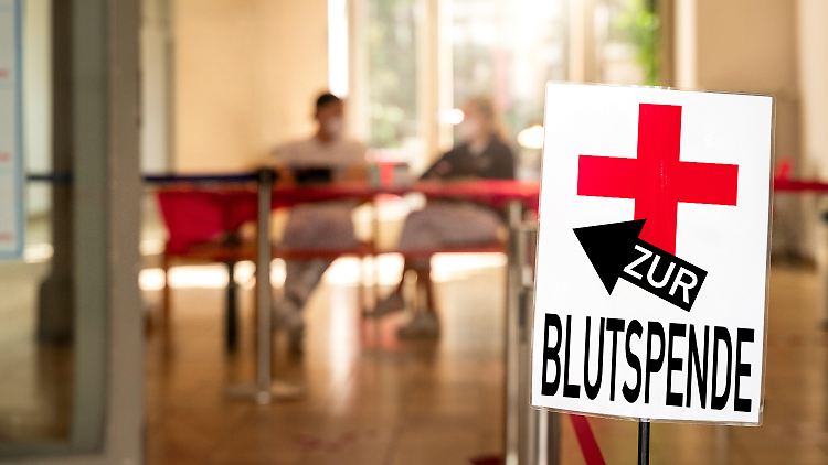 "Bereits zwei Blutspenden pro Jahr könnten helfen", sagt das DRK.