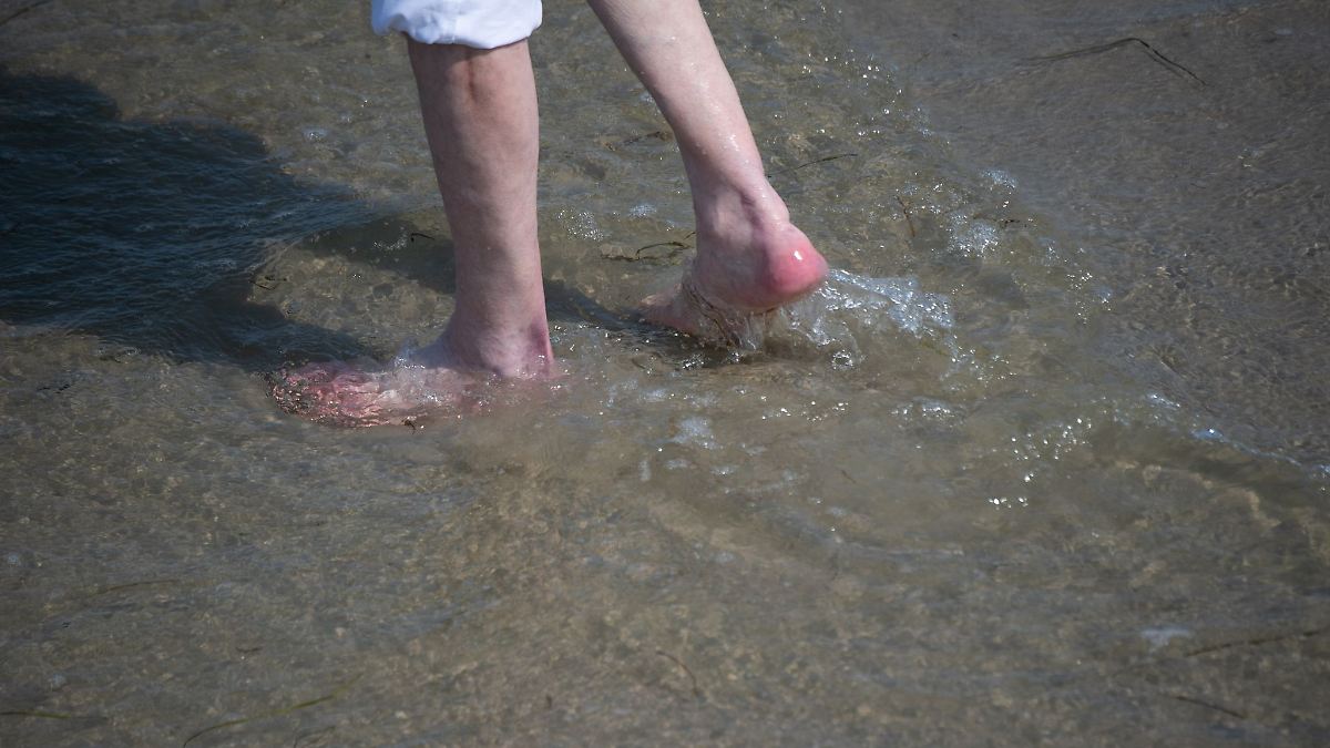 Fünf Wochen im Voraus: Neue Technik warnt vor fleischfressenden Ostsee-Bakterien