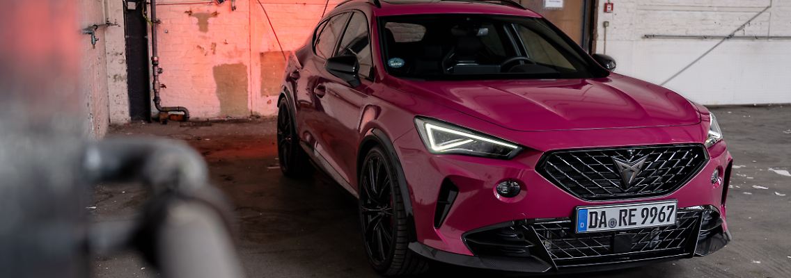 Cupra_1.jpg