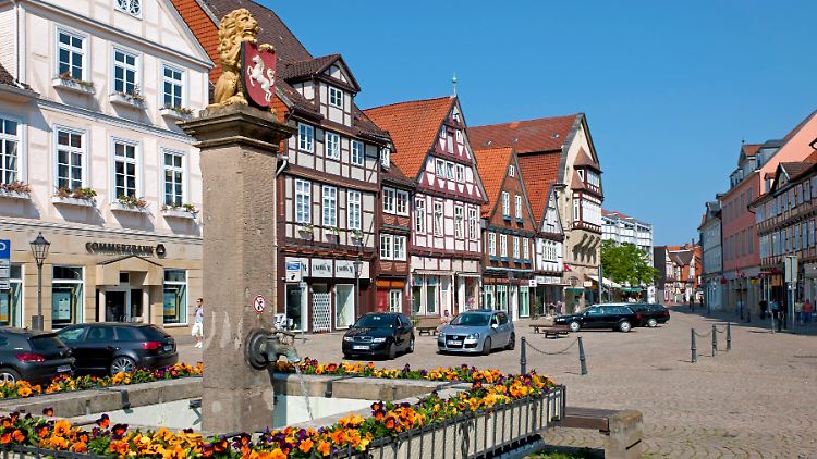 In Celle konnten Landwirte und Polizisten eine entlaufene Kuh nicht beruhigen. 