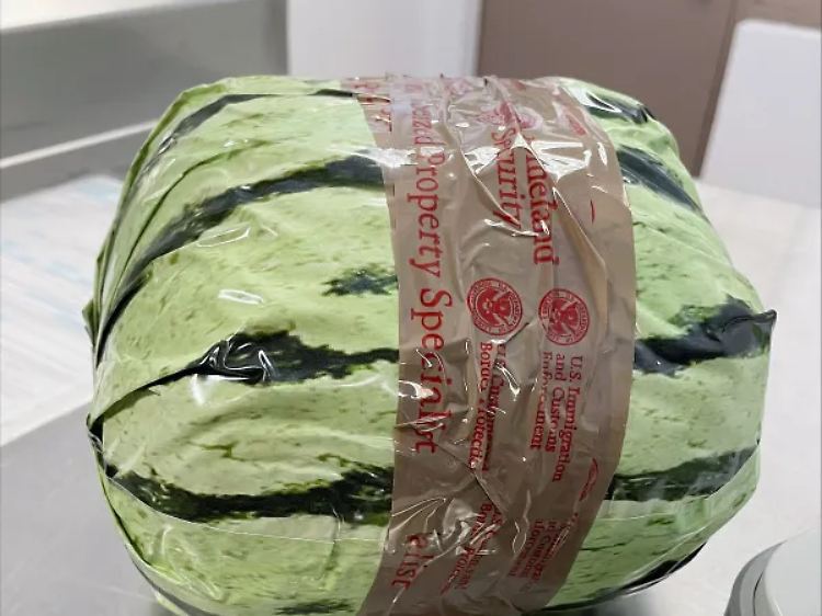 Zollbeamte in San Diego fanden in vermeintlichen Wassermelonen knapp zwei Tonnen Meth.