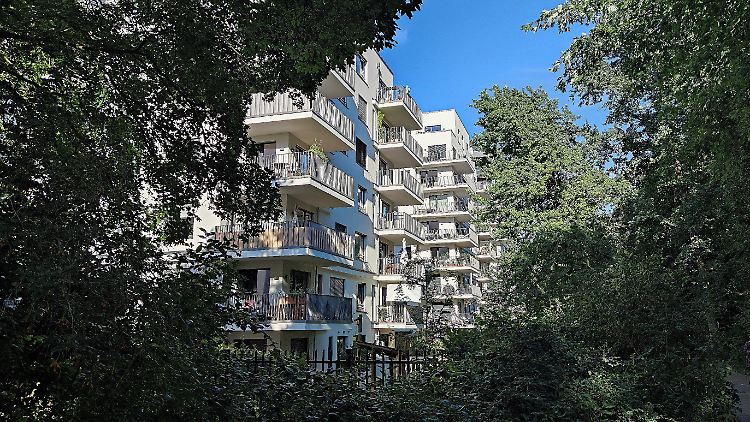 Einen Blick in die Wohnungen fremder Menschen werfen: Immobilien-Influencer wie Leon Sandhowe machen's möglich.