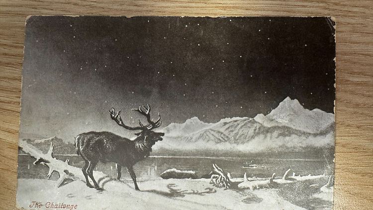 Die Karte mit Hirsch-Motiv stammt vermutlich aus dem Jahr 1903, wurde aber erst vor kurzem an die Mitarbeiter der Swansea Building Society in Wales zugestellt.