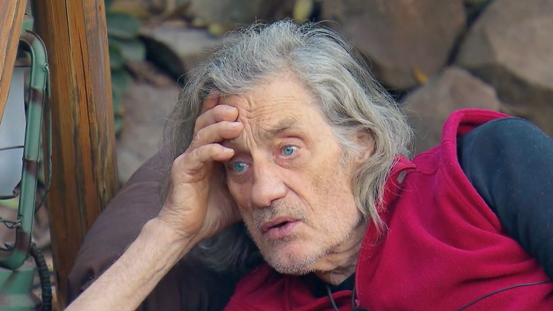 Ibes .jpg