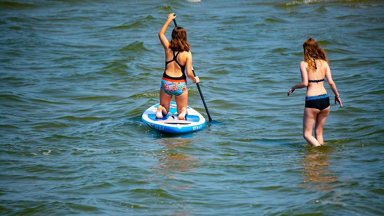 Ab Wassertemperaturen von etwa 20 Grad muss vermehrt mit Vibrionen gerechnet werden.