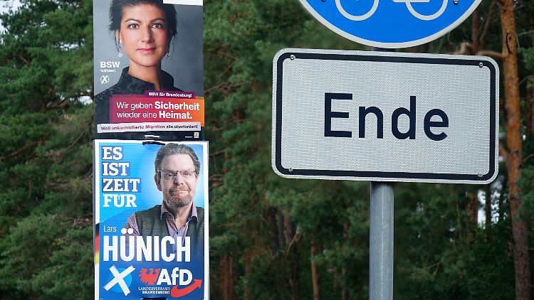 Wahlplakate von BSW und AfD: Populisten gerieren sich als Stimme einer unterdrückten Mehrheit gegen 'die da oben'.