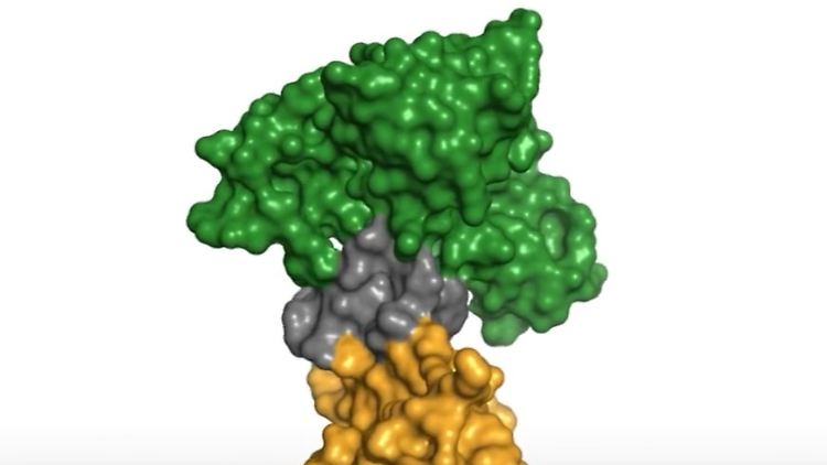 Protein Krebs Eiweiß Klimawandel.jpg