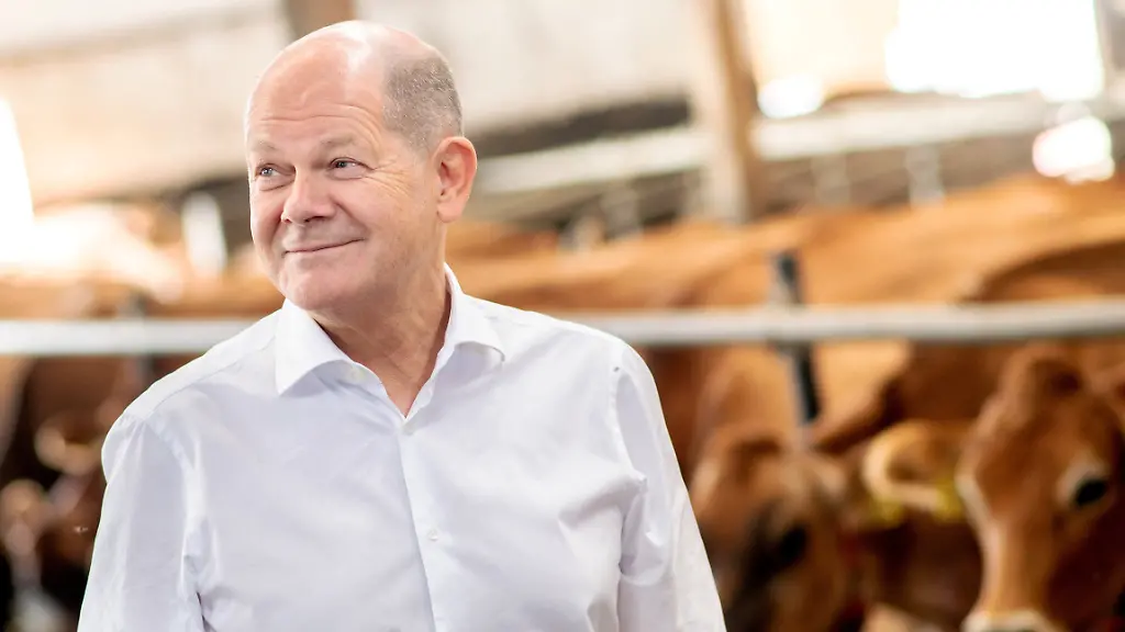 fb7dc63951f9a26cc1846dc5d8dca8e5