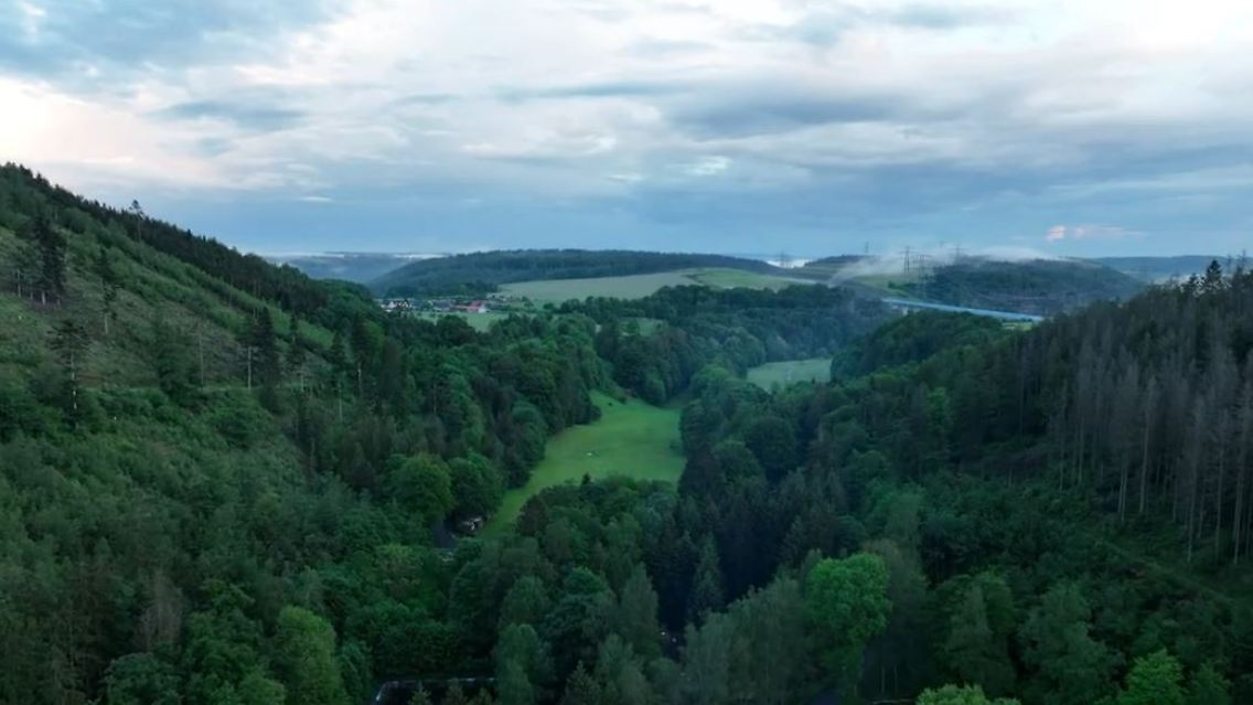 wald.JPG