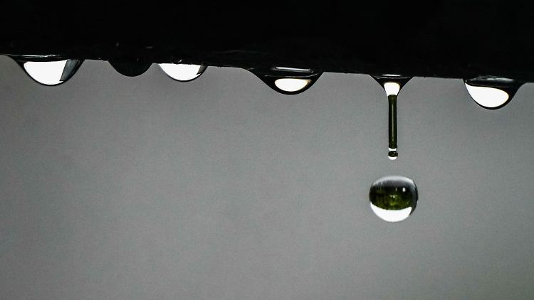 Bei Wasserschäden kann es sinnvoll sein, Proben zu entnehmen, um den Ursprung des Malheurs besser aufklären zu können.
