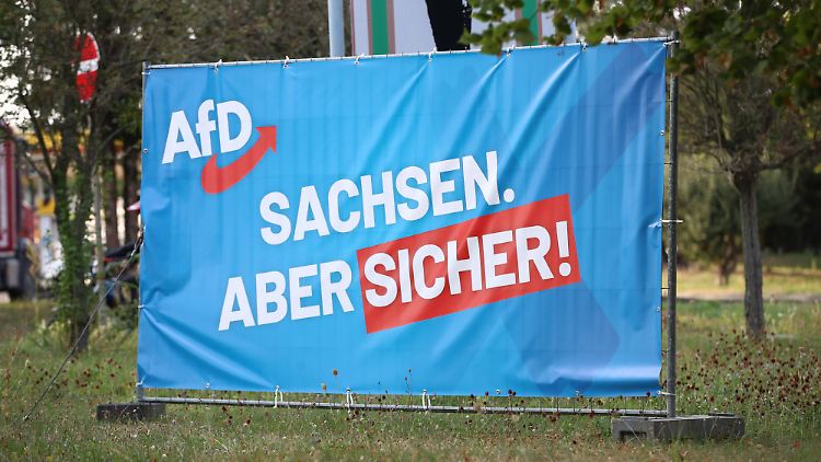 Das Verhältnis der AfD zur NS-Zeit sei "alles andere als eindeutig", sagt Historiker Loew. 