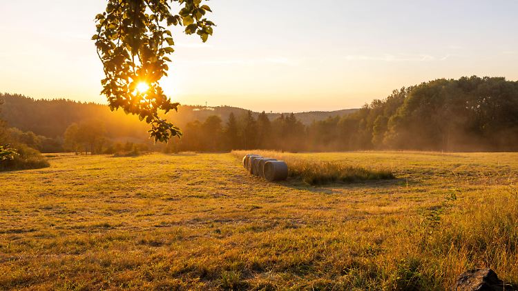 Der Sommer verabschiedet sich mit hochsommerlichen Temperaturen. 