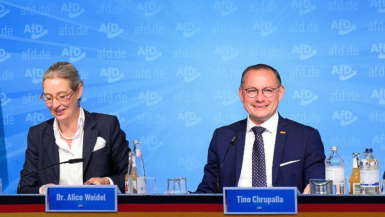 Co-AfD-Chef Chrupalla hat schon früher von einem "Projekt 2029" gesprochen. 