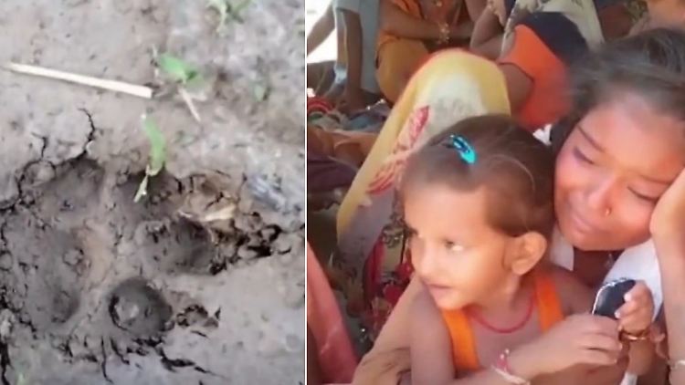 Wolfsrudel Dorf Bewohner Indien Bedrohung.jpg