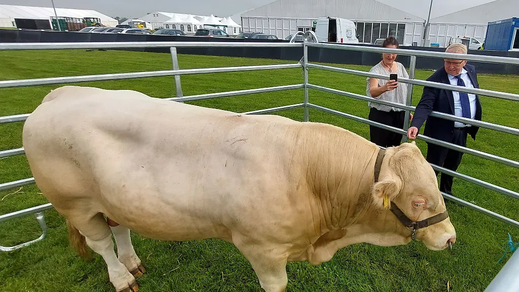 MV-Landwirtschaftsminister-Till-Backhaus-schaut-sich-auf-der-Agrarmesse-MeLa-den-Bullen-Gustav-an