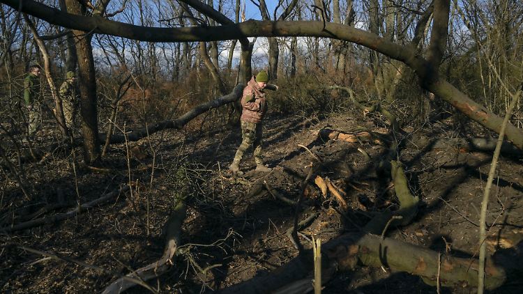 Ukrainischer Soldat bei Memryk.