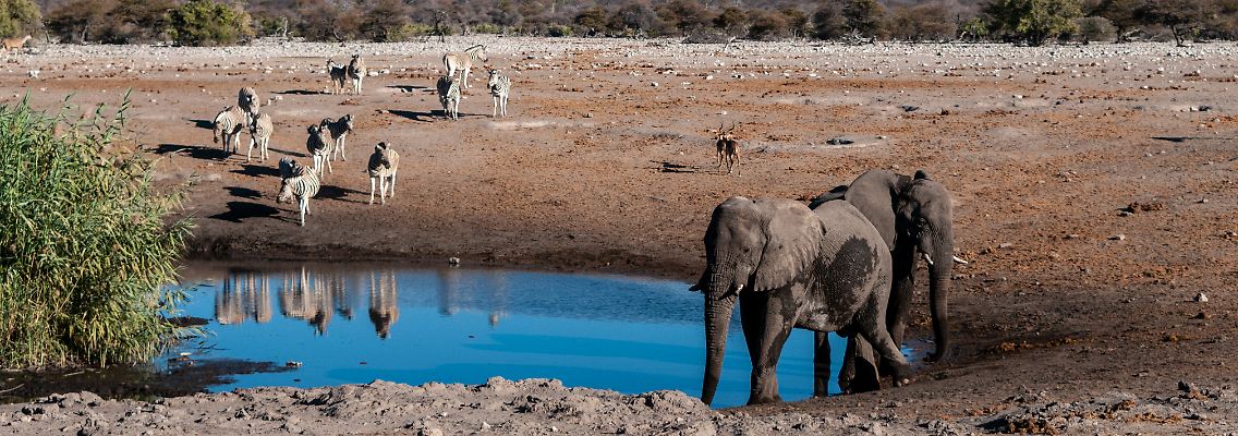 imago0386853977h (2).jpg