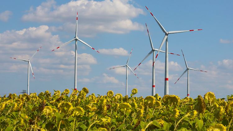 Windkraft liefert ein Drittel des Stroms in Deutschland.