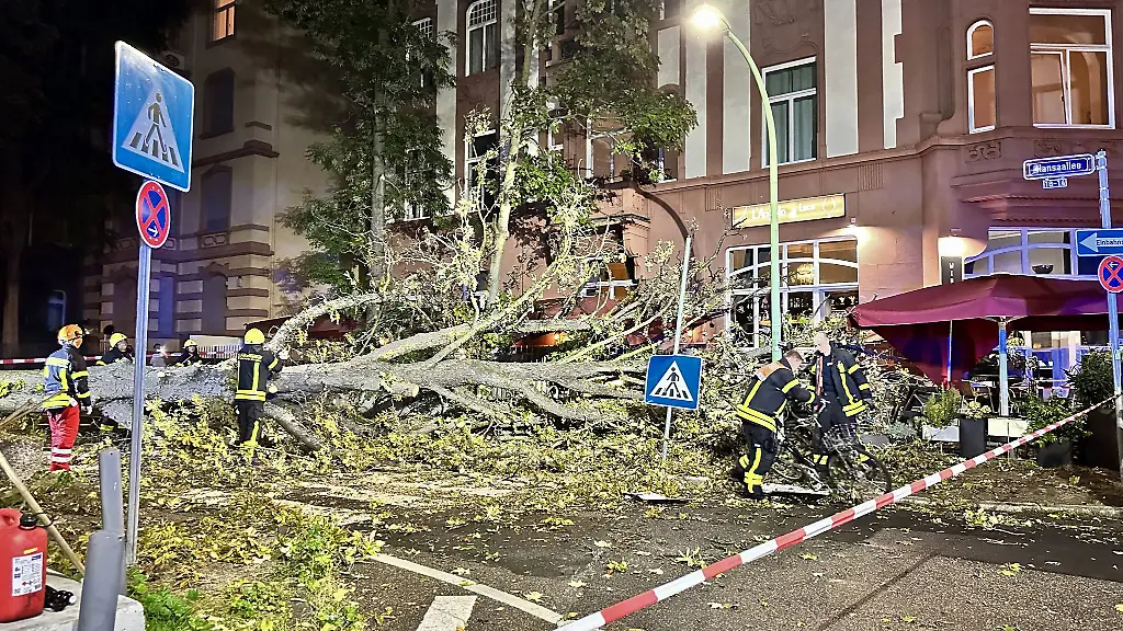 Feuerwehrleute-arbeiten-nach-einem-schweren-Unwetter-an-einem-Baum