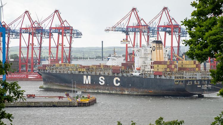 MSC soll nach dem Einstieg beim Hafenbetreiber HHLA den eigenen Containerumschlag erhöhen.