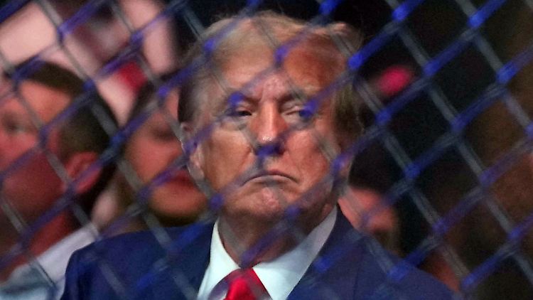 Donald Trump zeigt sich gerne beim nicht-olympischen MMA.