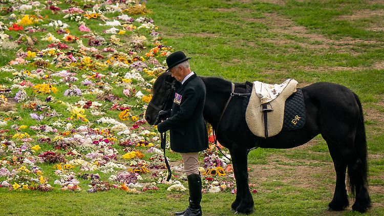 Stallmeister Pendry und Emma, das Lieblingspferd der Königin, verabschiedeten sich in Windsor von der Königin.