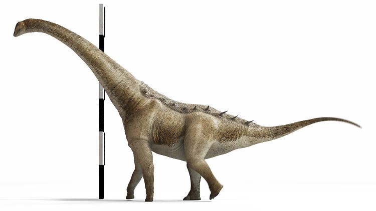 3D-Rekonstruktion des "Qunkasaura pintiquiniestra": Menschen hätten diesem Dinosaurier nicht einmal bis zur Schulter gereicht.