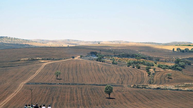 Die Leiche wurde in der südöstlichen Provinz Diyarbakir nicht weit von dem Heimatdorf des Mädchens gefunden. (Archivbild)