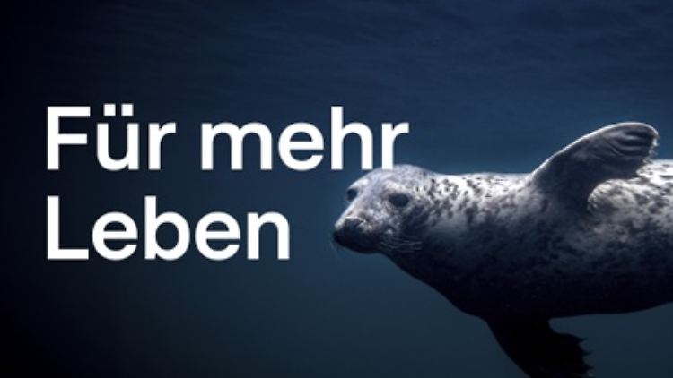 FürmehrLeben.jpg