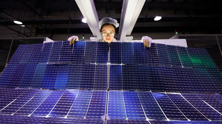 "Die Solarzelle ist im Regelfall identisch und global standardisiert, deswegen ist Photovoltaik unglaublich günstig." 
