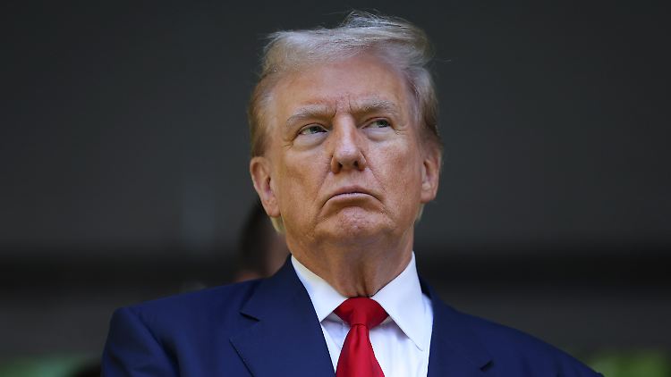 Donald Trump log über Einwanderer in den USA und Kraftwerke in Deutschland.