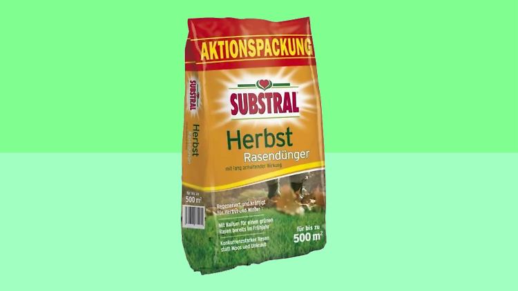Herbst-Rasendünger gibt es günstig bei Ebay.