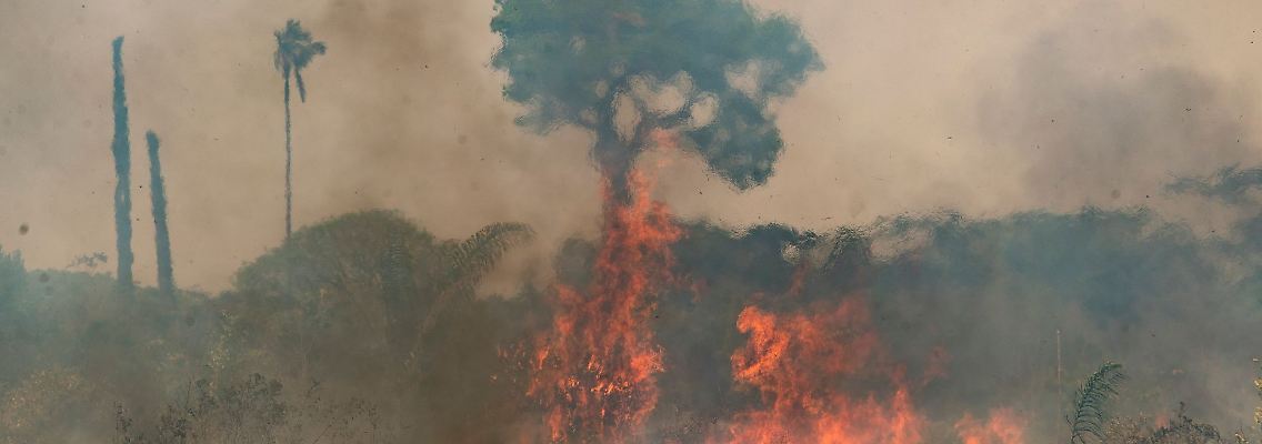 Im brasilianischen Amazonasgebiet toben die schwersten Brände seit fast 20 Jahren.
