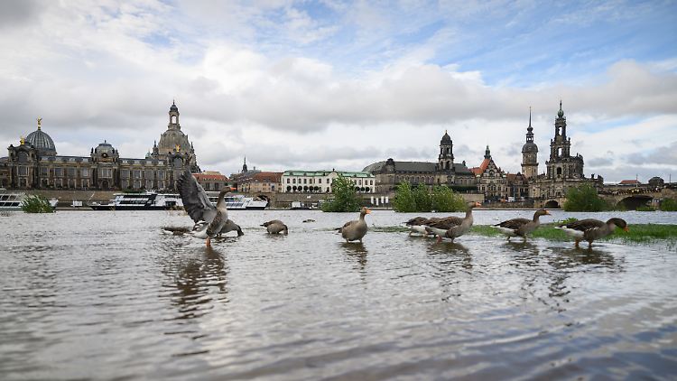 In den kommenden Tagen setzt sich auch in Dresden die Sonne durch. 