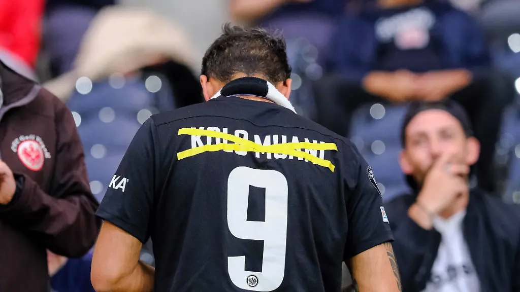 51a8e574d4bf0029ddc8b03c712d0a22